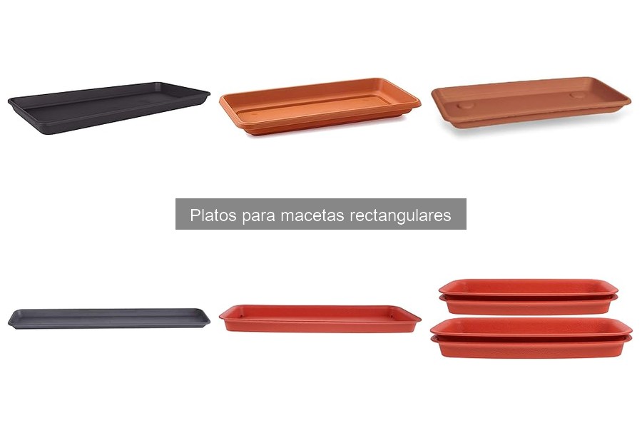 Mejores platos para macetas rectangulares en 2023
