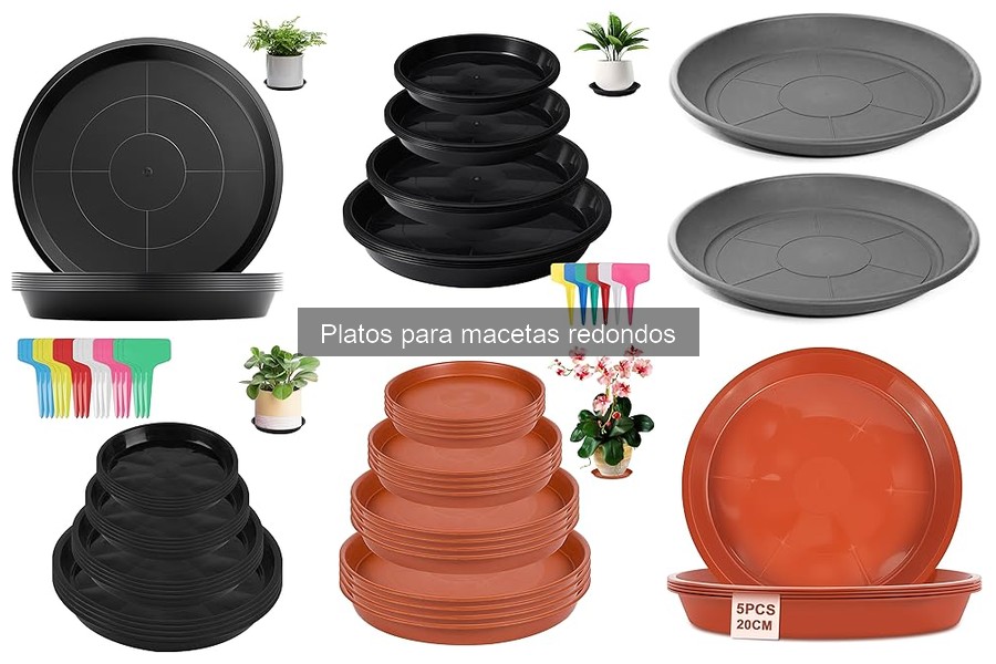 Mejores platos para macetas redondos de interior