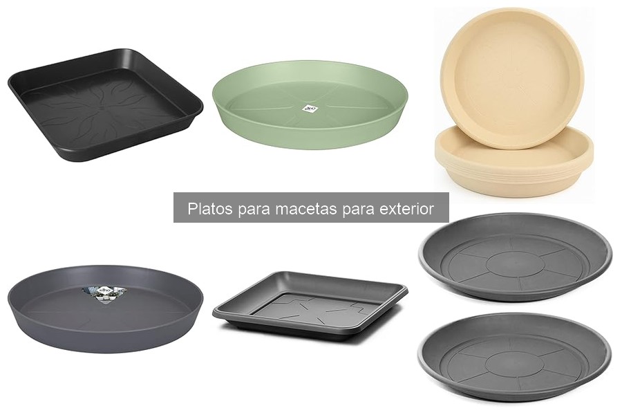 Mejores platos para macetas según el clima: Comparativa