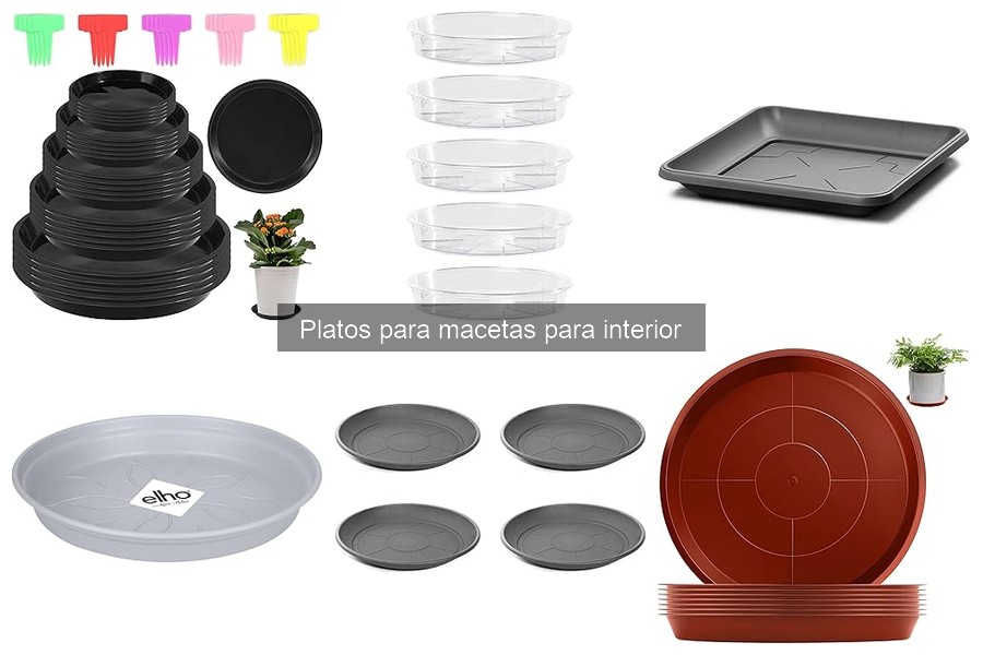 Mejores platos para macetas según opiniones de usuarios