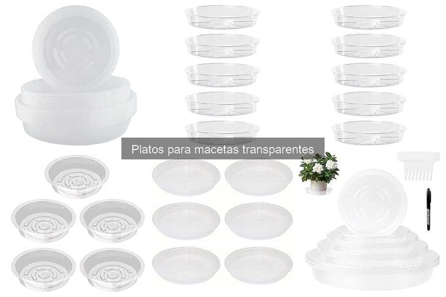 Mejores platos para macetas transparentes en Amazon