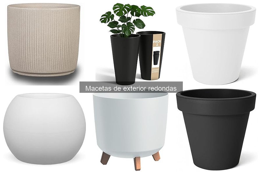 Mejores Prácticas para Sembrar en Macetas Redondas