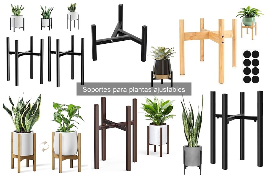 Mejores soportes para plantas ajustables: comparativa 2023