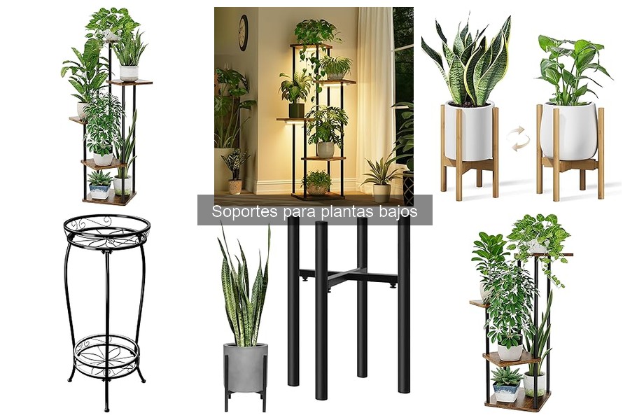 Mejores soportes para plantas bajos: comparativa y opiniones