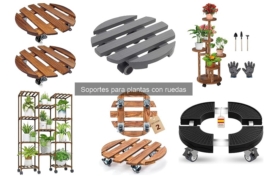 Mejores soportes para plantas con ruedas en Amazon