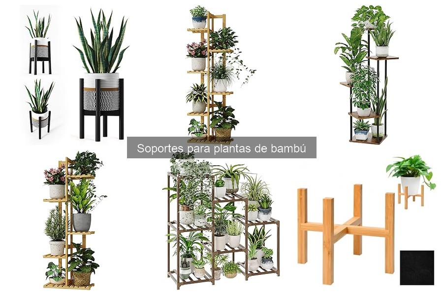 Mejores soportes para plantas de bambú disponibles en Amazon