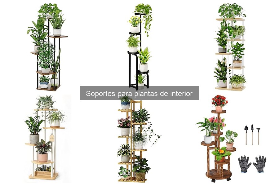 Mejores Soportes para Plantas de Interior en Espacios Pequeños