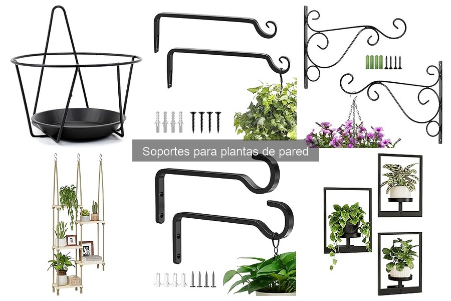 Mejores soportes para plantas de pared en interiores
