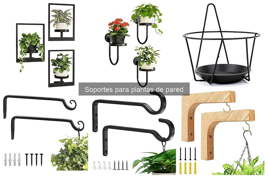 Mejores soportes para plantas de pared externos resistentes