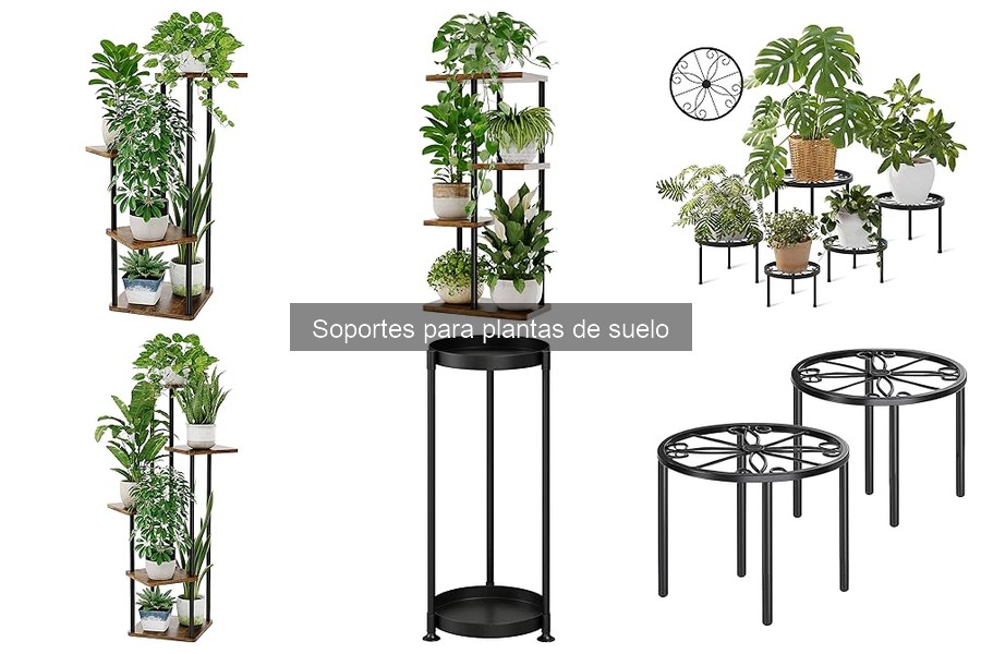 Mejores soportes para plantas de suelo en 2023