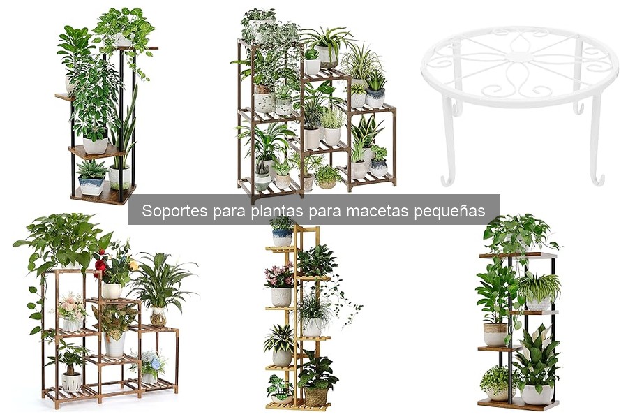 Mejores soportes para plantas en macetas pequeñas 2023