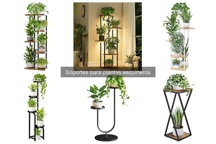 Mejores soportes para plantas esquineros según usuarios