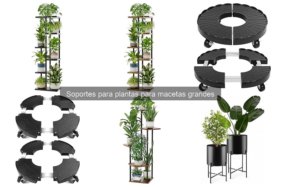 Mejores soportes para plantas grandes según tipo de planta