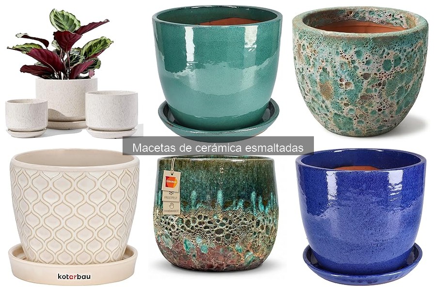 Mejores tiendas para comprar macetas de cerámica esmaltadas