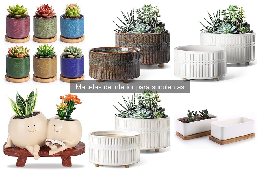 Mejores tiendas para comprar macetas de suculentas a buen precio