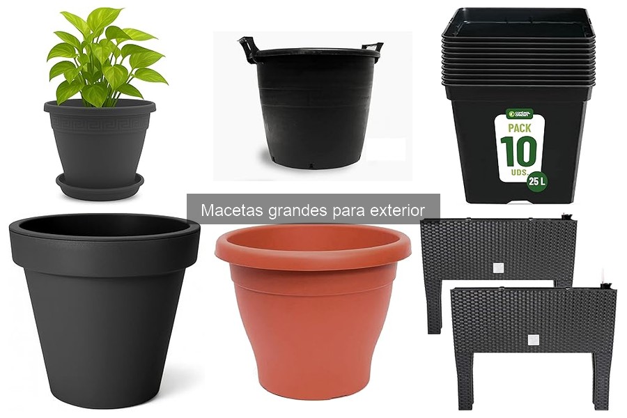 Mitos desmentidos sobre macetas grandes para exteriores