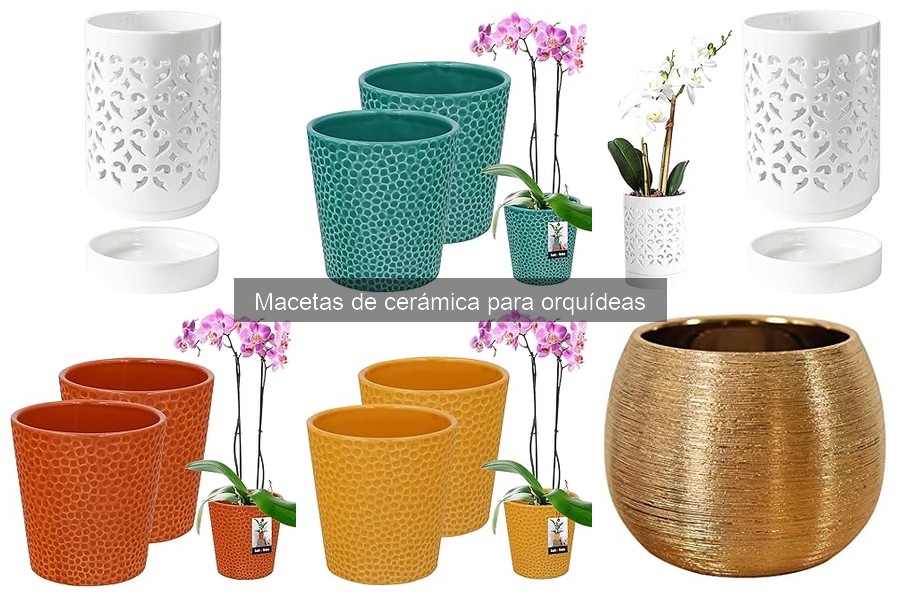 Mitos sobre macetas de cerámica para orquídeas desmentidos
