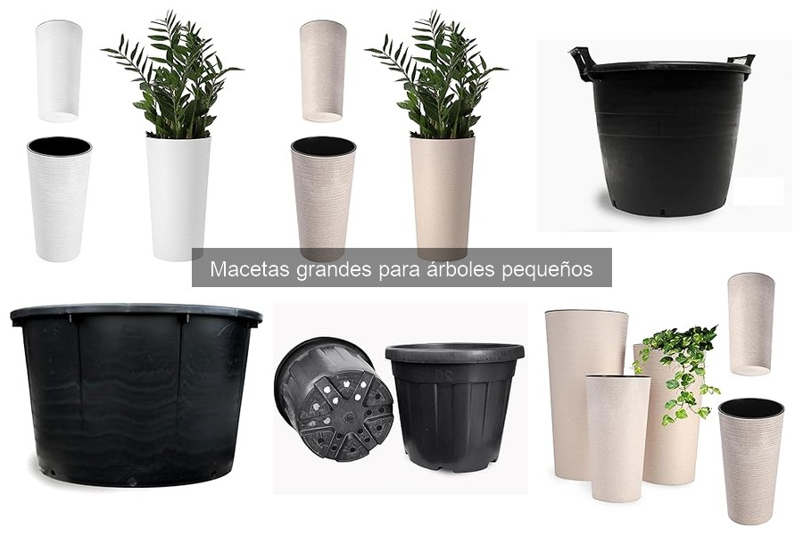 Ofertas de macetas grandes para árboles pequeños