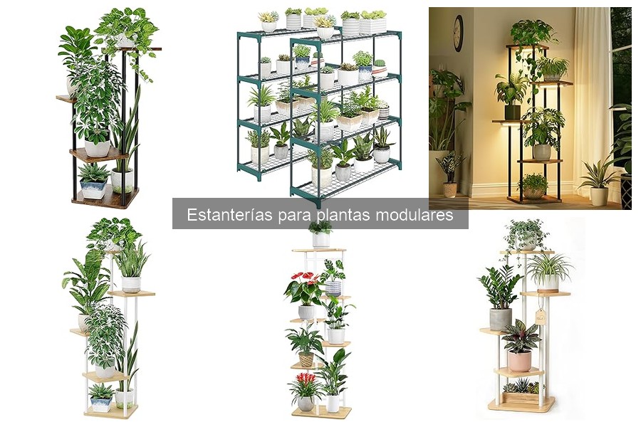 Ofertas en estanterías para plantas modulares: ahorra hoy