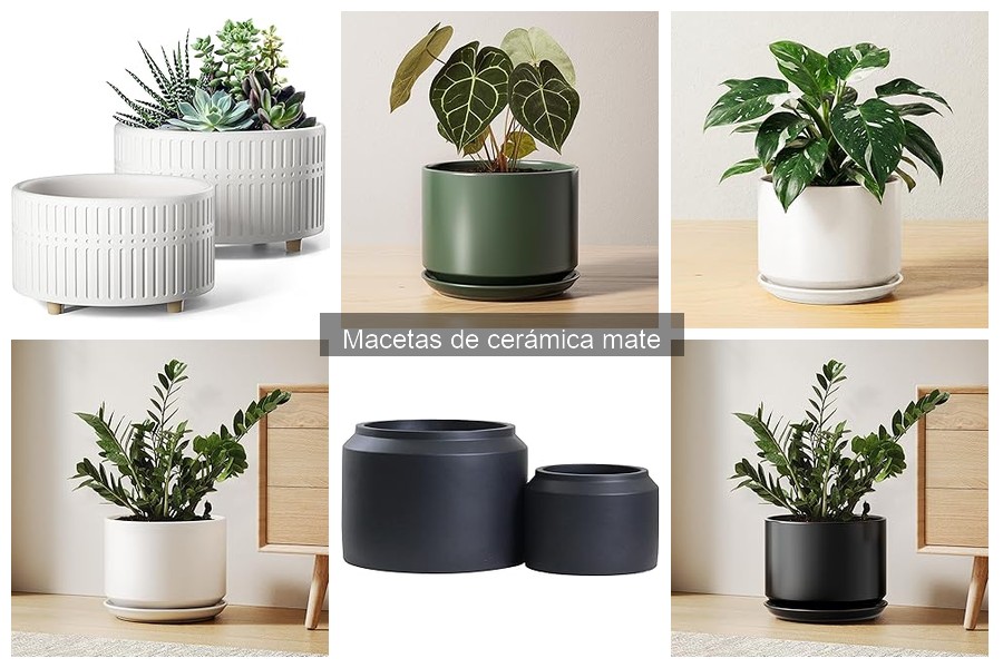 Ofertas en macetas de cerámica mate: ahorra en tu compra