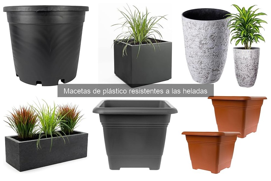 Ofertas en macetas de plástico resistentes a las heladas
