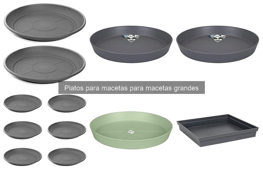 Ofertas en platos para macetas grandes: descuentos imperdibles
