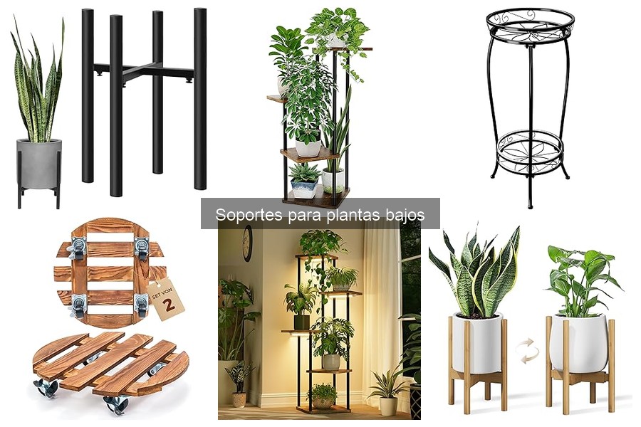 Ofertas en soportes para plantas bajos: descuentos actuales