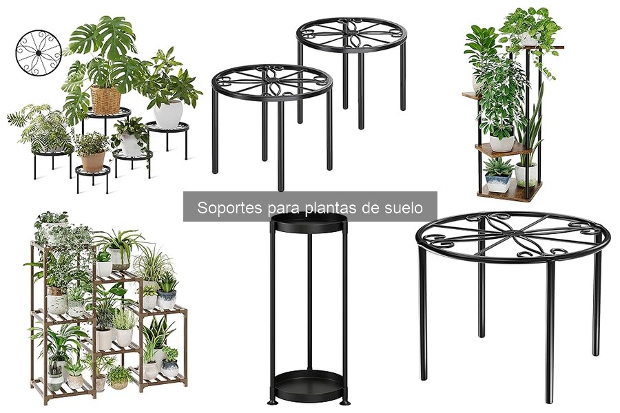 Ofertas y Descuentos en Soportes para Plantas de Suelo