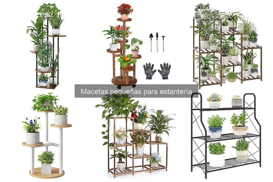 Ofertas y precios de macetas pequeñas para estantería