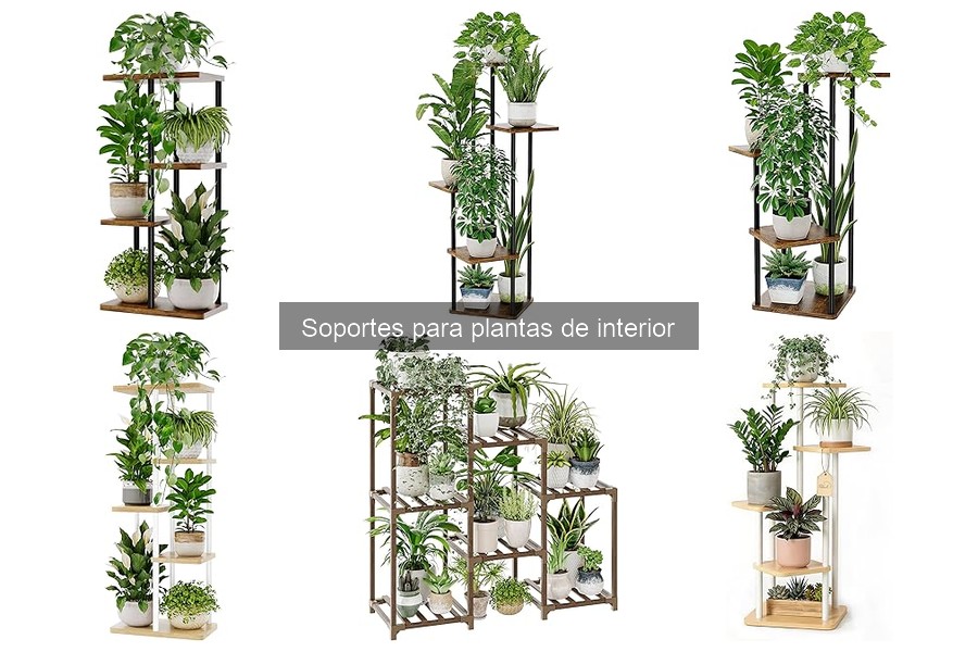 Ofertas y precios de soportes para plantas de interior