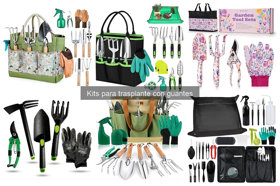 Opiniones de Kits para Trasplante con Guantes: Análisis y Reseñas