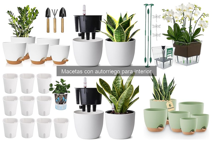 Opiniones de las Mejores Macetas con Autorriego para Interior