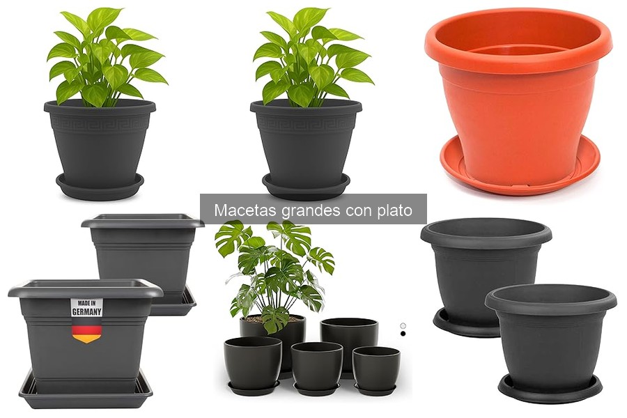 Opiniones de las Mejores Macetas Grandes con Plato