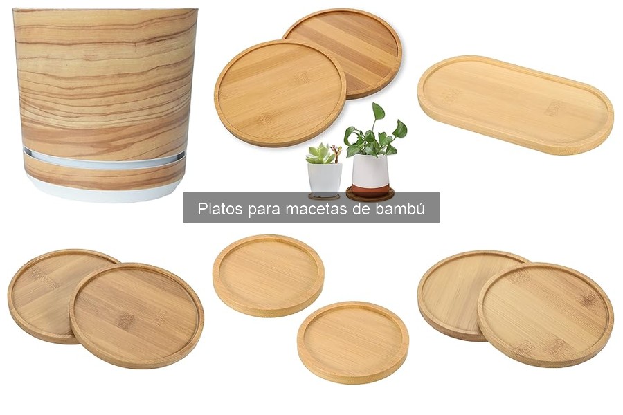 Opiniones de platos para macetas de bambú: Experiencias reales