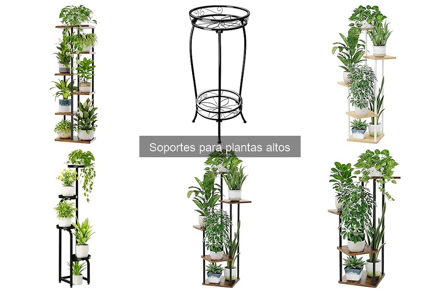 Opiniones de Soportes para Plantas Altos: Mejores Opciones