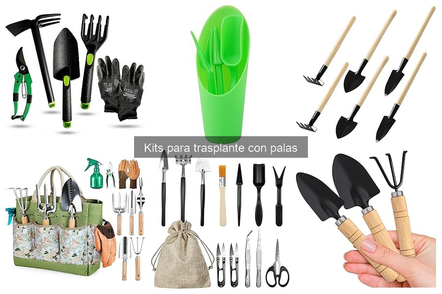 Opiniones sobre kits para trasplante: ¿Cuál elegir?