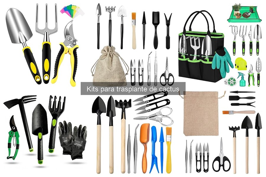 Opiniones sobre kits para trasplante de cactus: ¿Valen la pena?