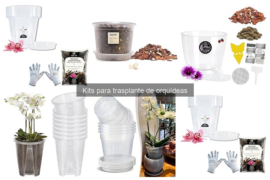 Opiniones sobre Kits para Trasplante de Orquídeas