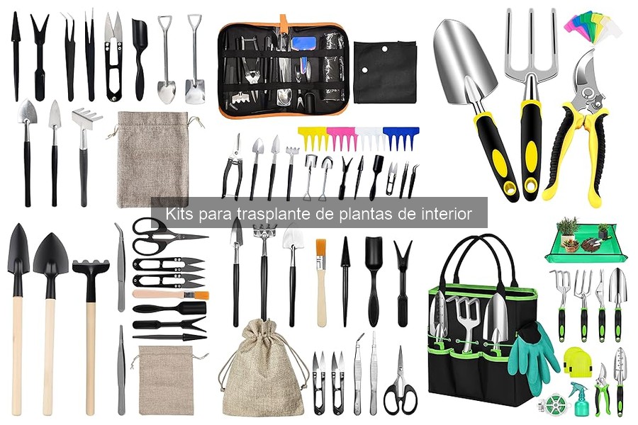 Opiniones sobre Kits para Trasplante de Plantas de Interior