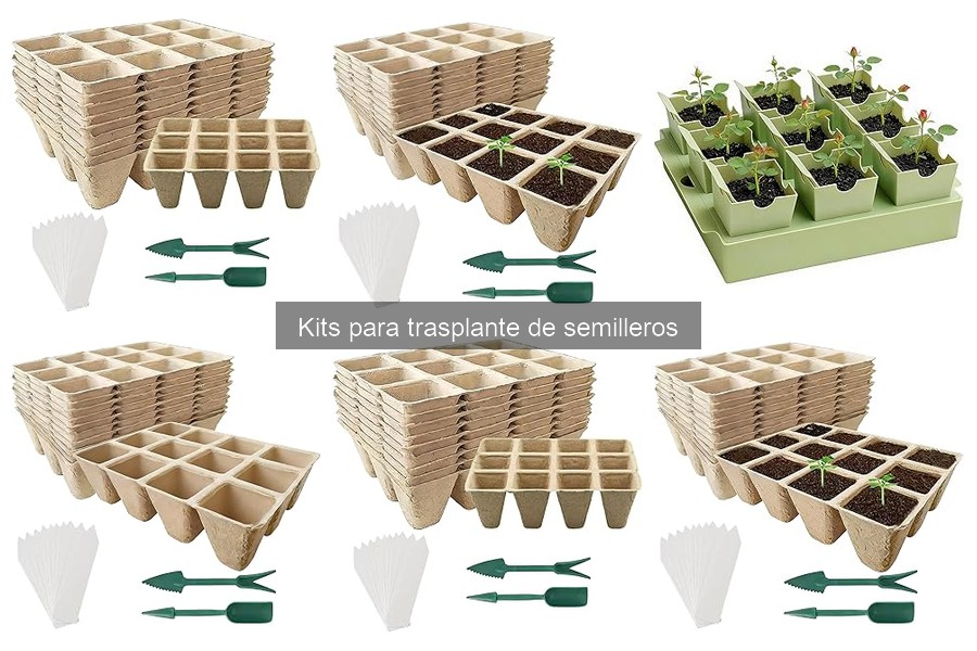 Opiniones sobre kits para trasplante de semilleros