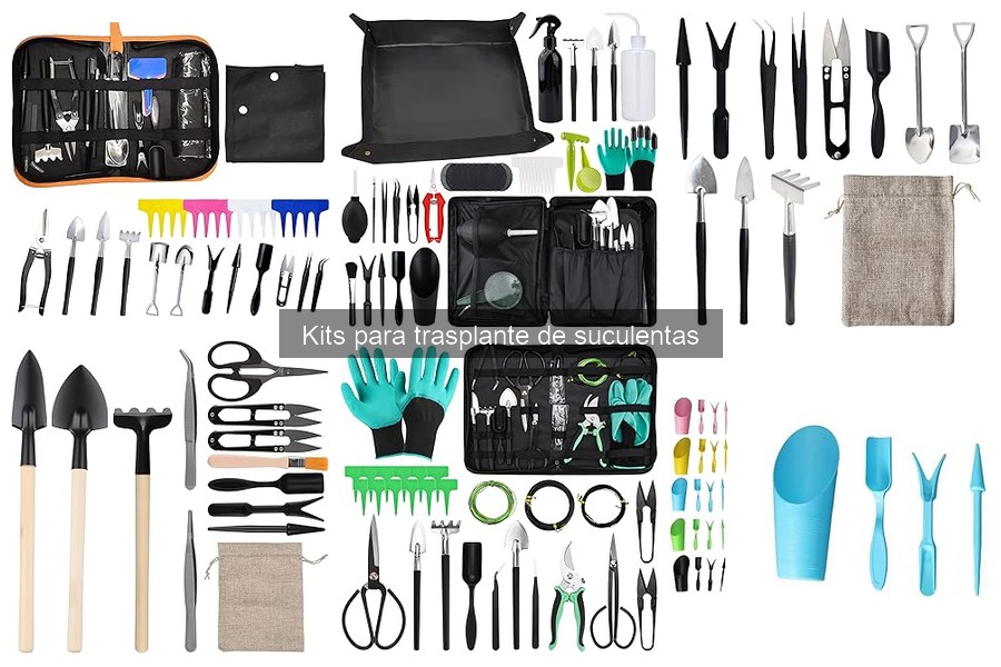 Opiniones sobre Kits para Trasplante de Suculentas