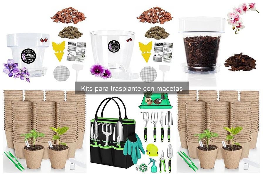 Opiniones sobre Kits para Trasplante: Lo que Dicen los Usuarios