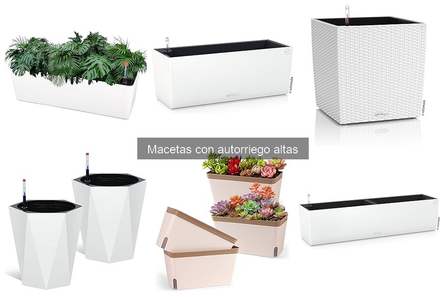 Opiniones sobre macetas con autorriego altas