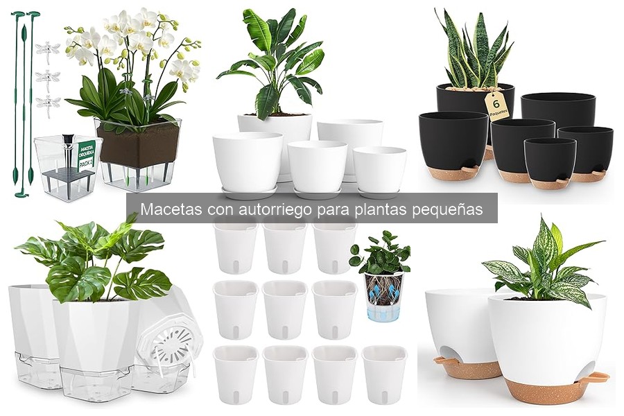 Opiniones sobre Macetas con Autorriego de Marcas Conocidas