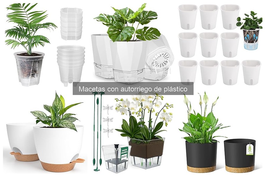 Opiniones sobre macetas con autorriego de plástico