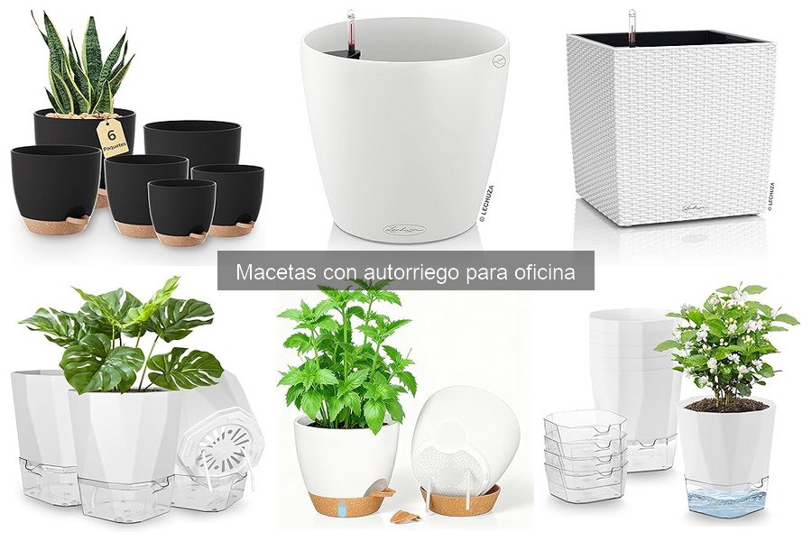 Opiniones sobre macetas con autorriego para oficina