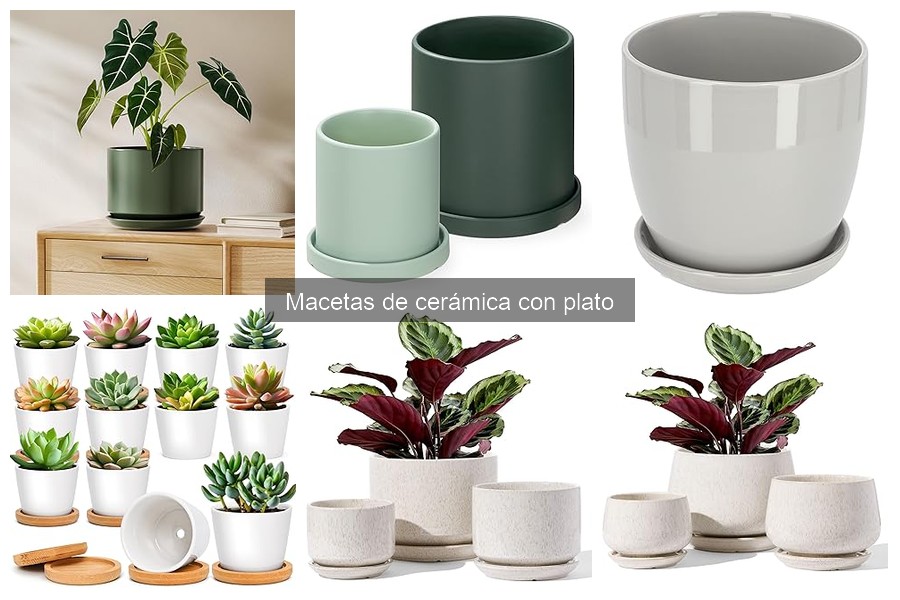 Opiniones sobre Macetas de Cerámica con Plato: Experiencias Reales