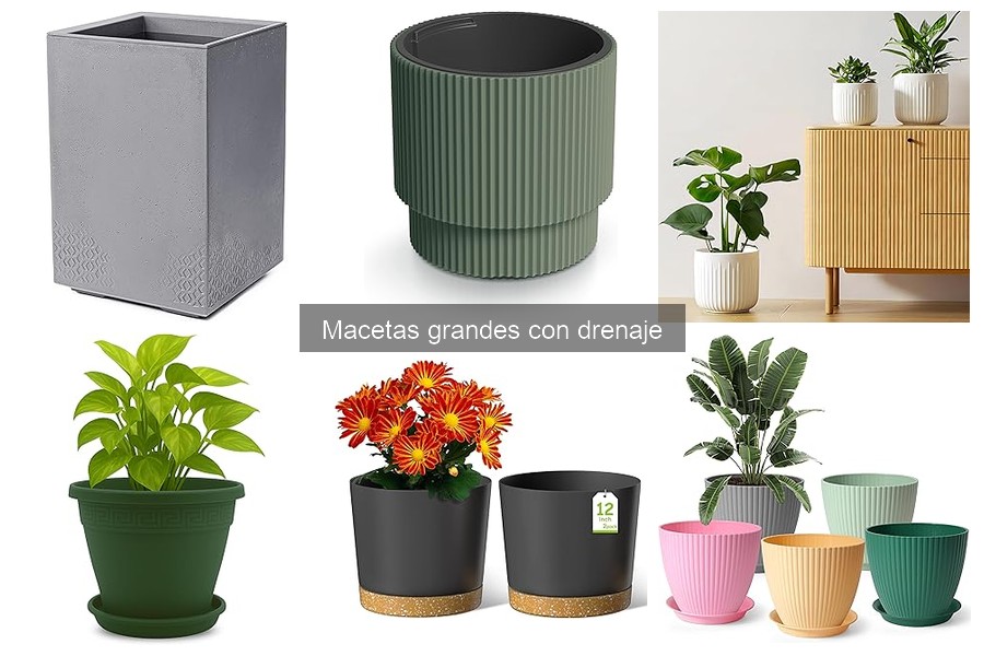 Opiniones sobre macetas grandes con drenaje para tus plantas