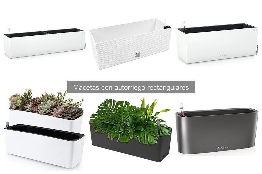 Opiniones sobre Macetas Rectangulares con Autorriego