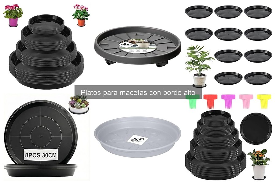 Opiniones sobre platos para macetas con borde alto